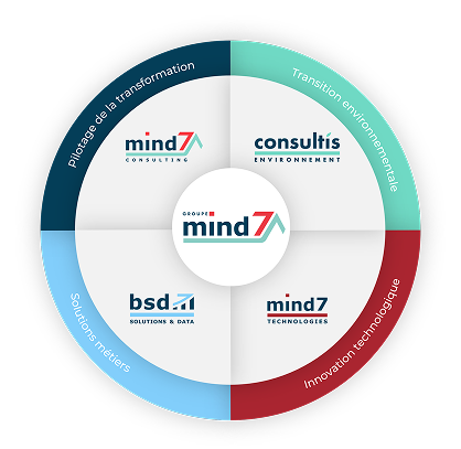 Rosace graphique des entités de l'entreprise Mind7.